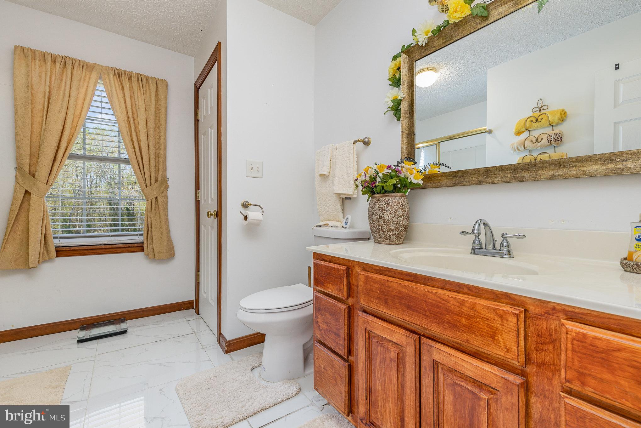 9121 Will Loop King George, VA 22485 - Photo 30 of 52 a spacious bathroom with a granite countertop sink a toilet and a mirror