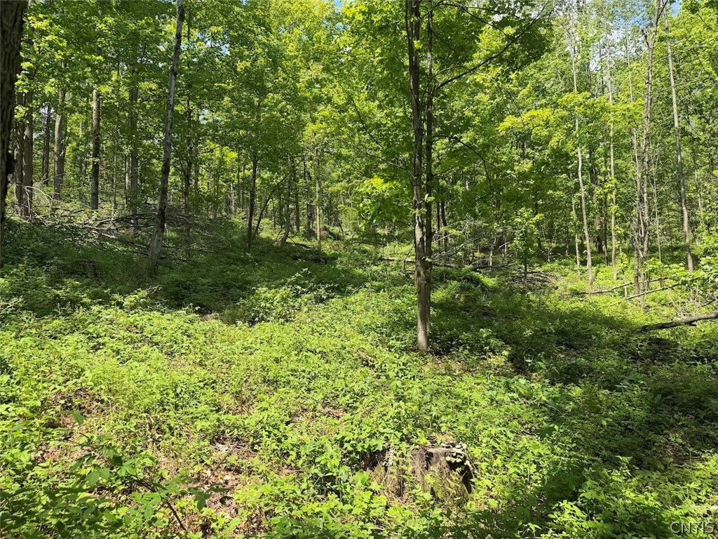 Dye Road South Dayton, NY 14138 - Photo 19 of 27