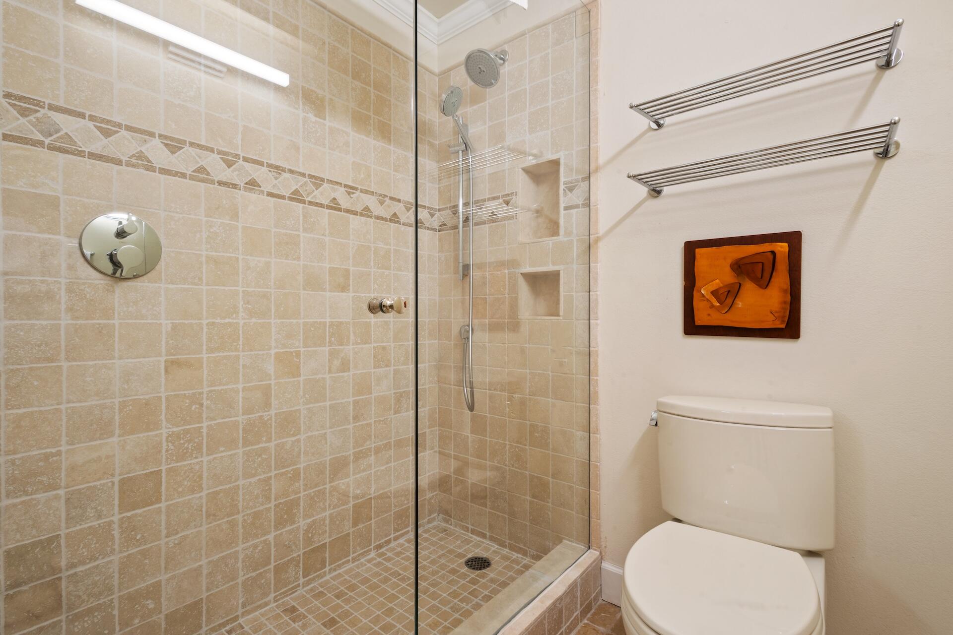 260 South Aspen Street, Unit D 2 Telluride, CO 81435 - Photo 26 of 30 a bathroom with a toilet and a shower