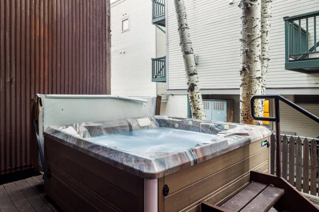 $1,850,000 | 260 South Aspen Street, Unit D 2, Telluride, CO 81435