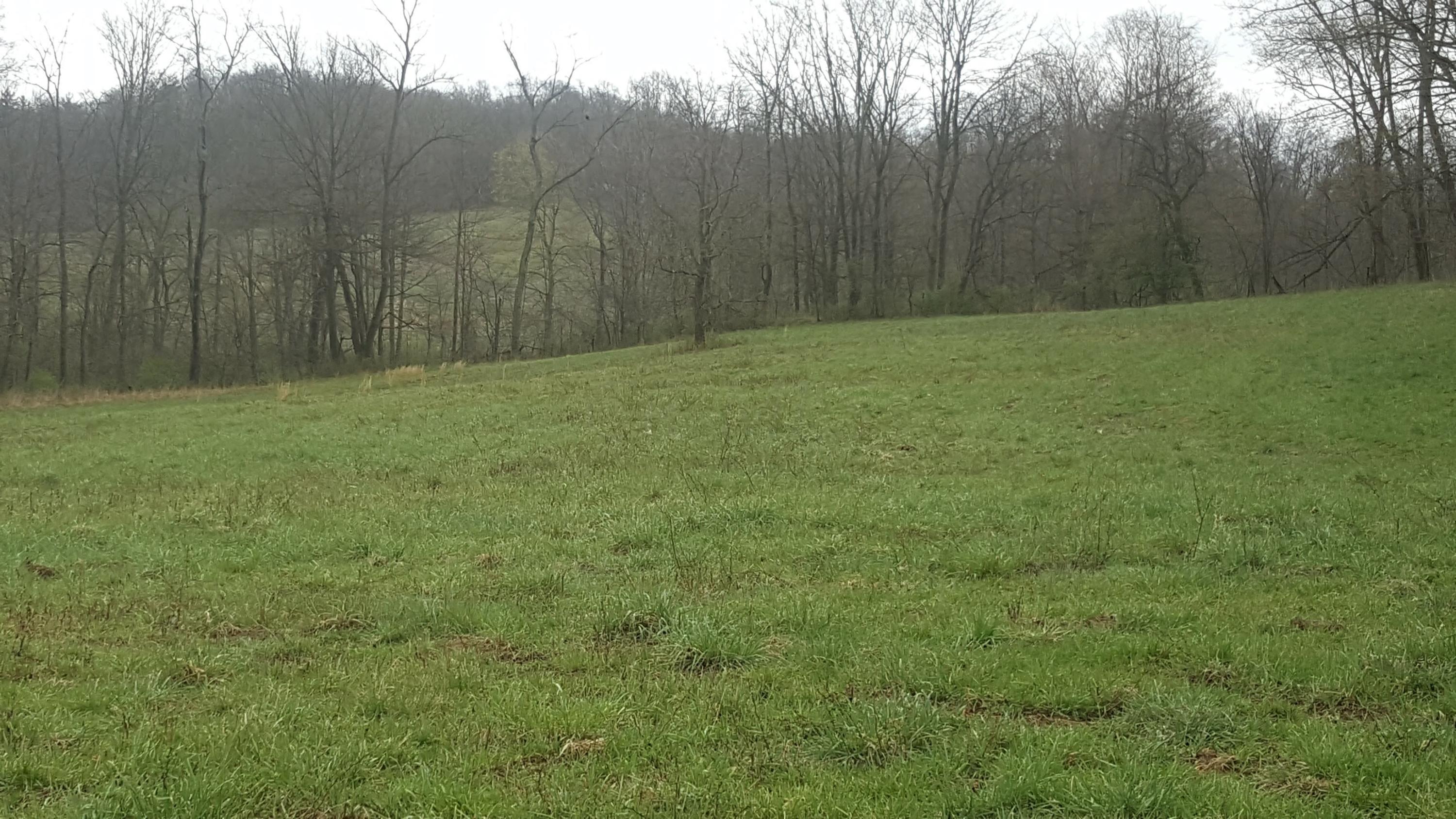 11615 Bolen Road Northeast Newark, OH 43055 - Photo 3 of 17 Gallery Image 3