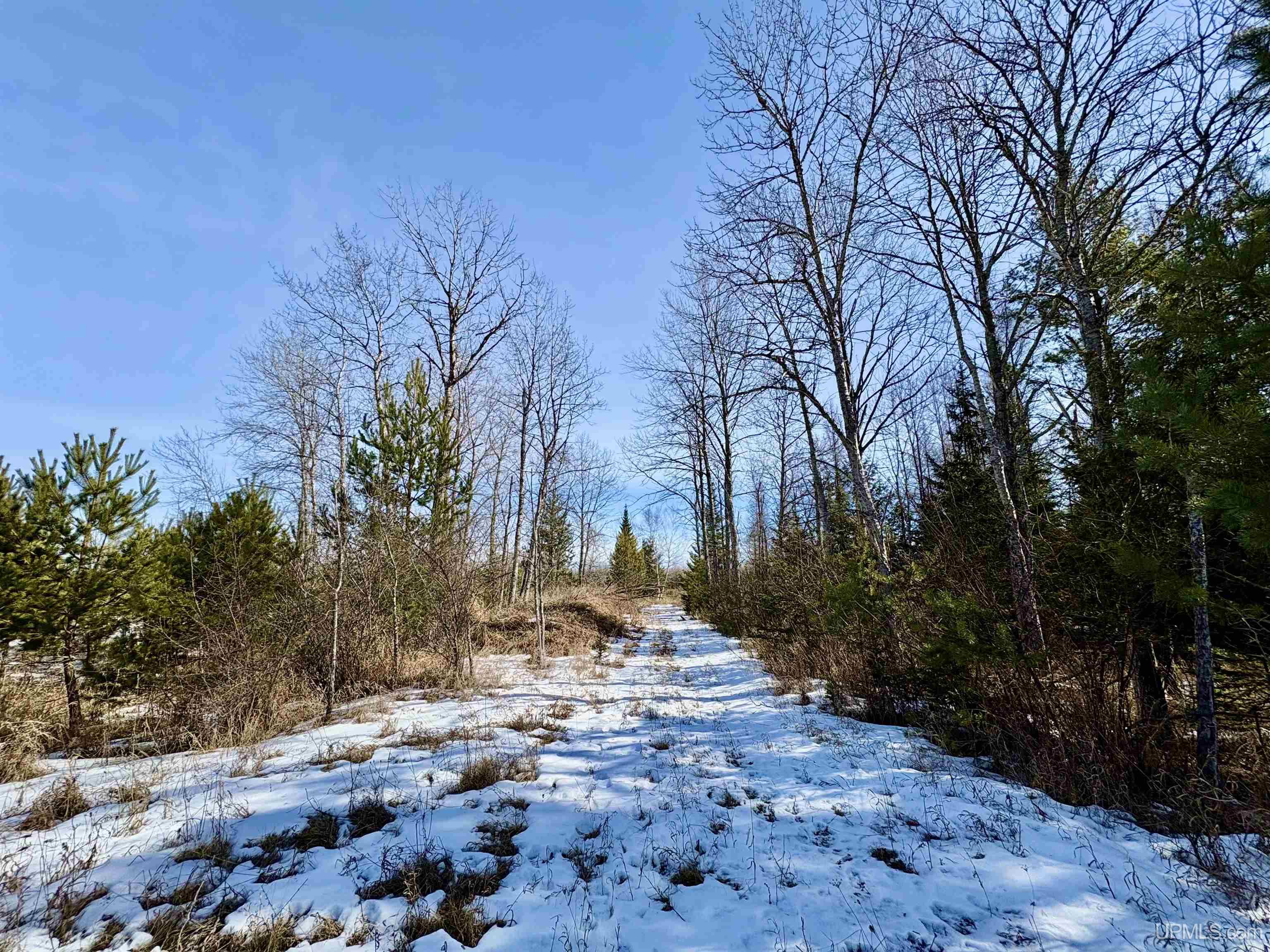 4568 I Road Bark River, MI 49807 - Photo 12 of 39