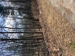 14 Old Country Road Sparrowbush, NY 12780 - Photo 2 of 9