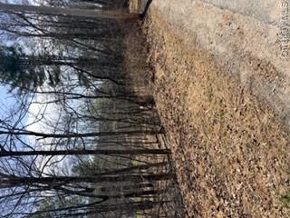 14 Old Country Road Sparrowbush, NY 12780 - Photo 3 of 9