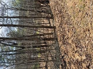 14 Old Country Road Sparrowbush, NY 12780 - Photo 4 of 9