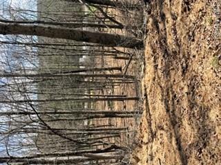 14 Old Country Road Sparrowbush, NY 12780 - Photo 5 of 9