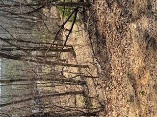 14 Old Country Road Sparrowbush, NY 12780 - Photo 6 of 9