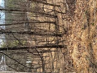 14 Old Country Road Sparrowbush, NY 12780 - Photo 7 of 9