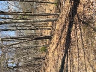 14 Old Country Road Sparrowbush, NY 12780 - Photo 8 of 9