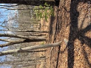 14 Old Country Road Sparrowbush, NY 12780 - Photo 9 of 9