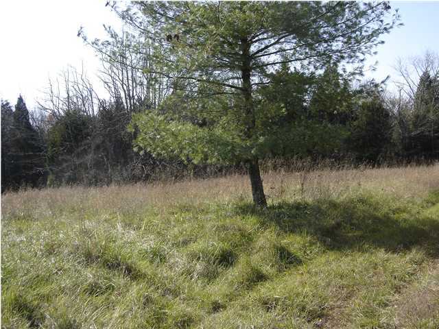 88 Tatum Road Pendleton, KY 40055 - Photo 4 of 5 Additional Photo