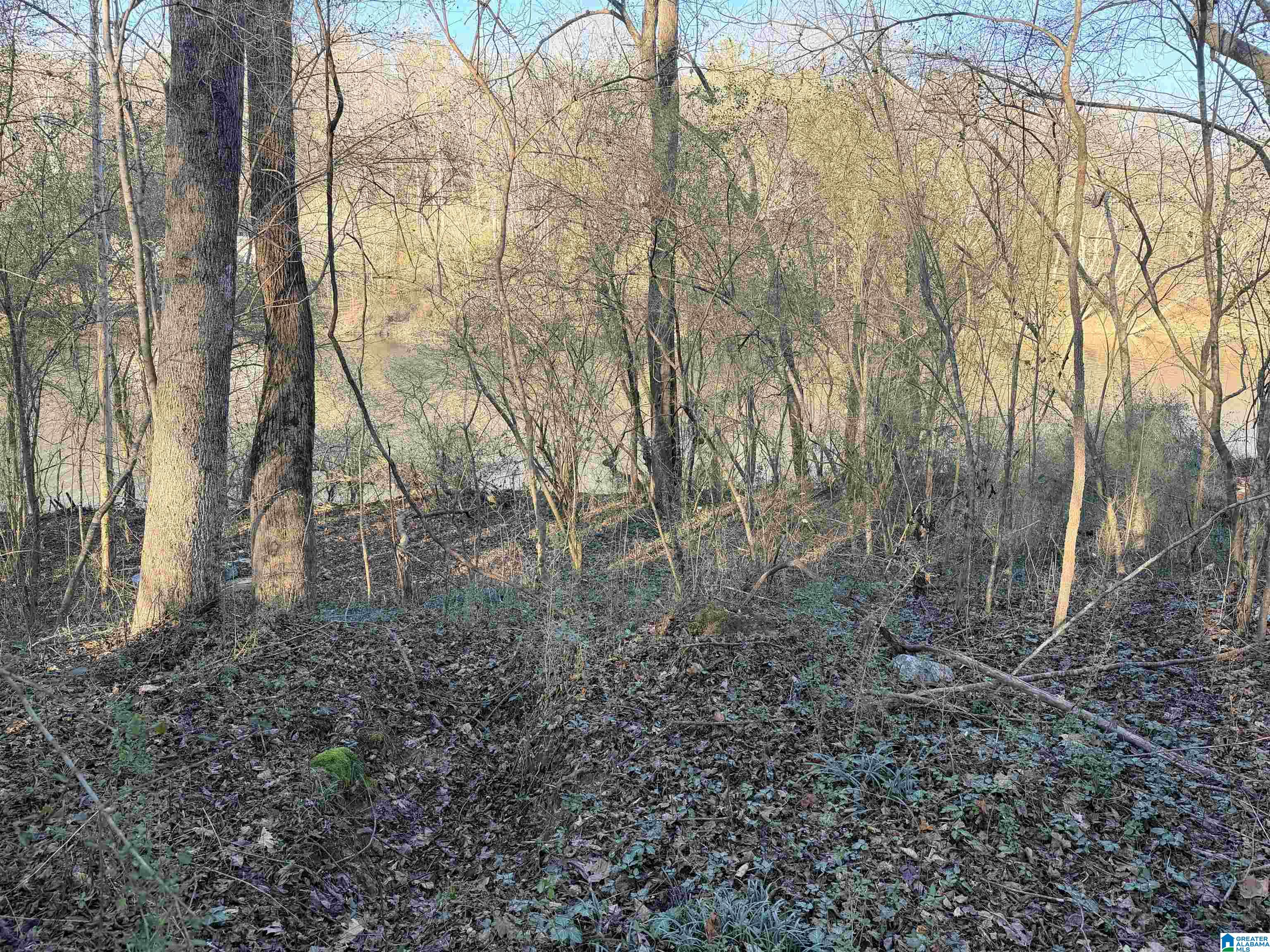 1 Scott Road Cordova, AL 35550 - Photo 4 of 5
