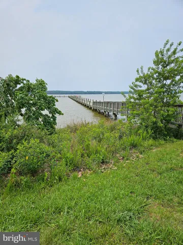 a view of a river and garden in the back