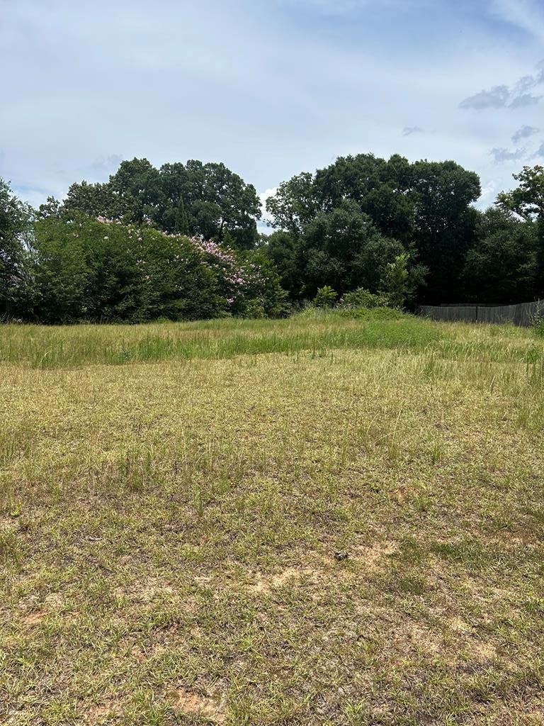 300 Rosa Lane Headland, AL 36345 - Photo 1 of 6 Main View