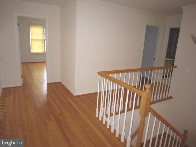 12004 Bernard Drive Silver Spring, MD 20902 - Photo 51 of 60 Upper Level Hallway