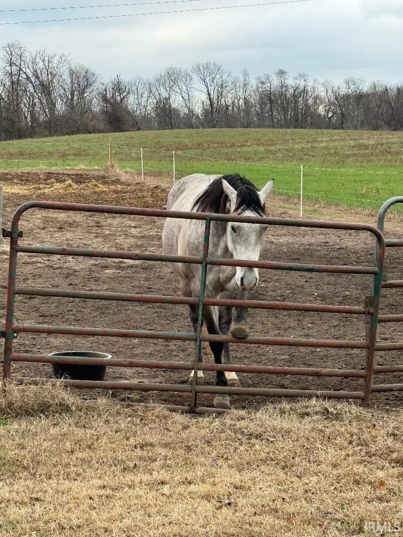 10489 West 750th Road South Owensville, IN 47665 - Photo 8 of 13