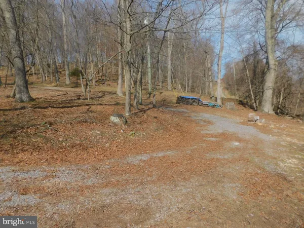 a view of a yard