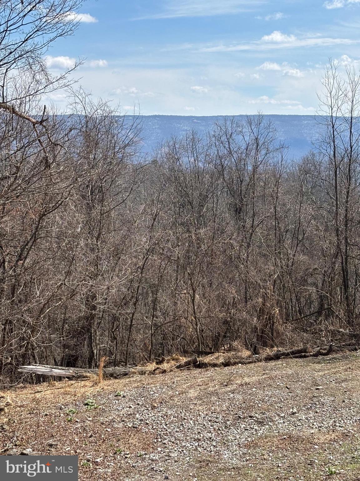 6751 High Knob Road Old Fields, WV 26845 - Photo 24 of 26 a view of a yard