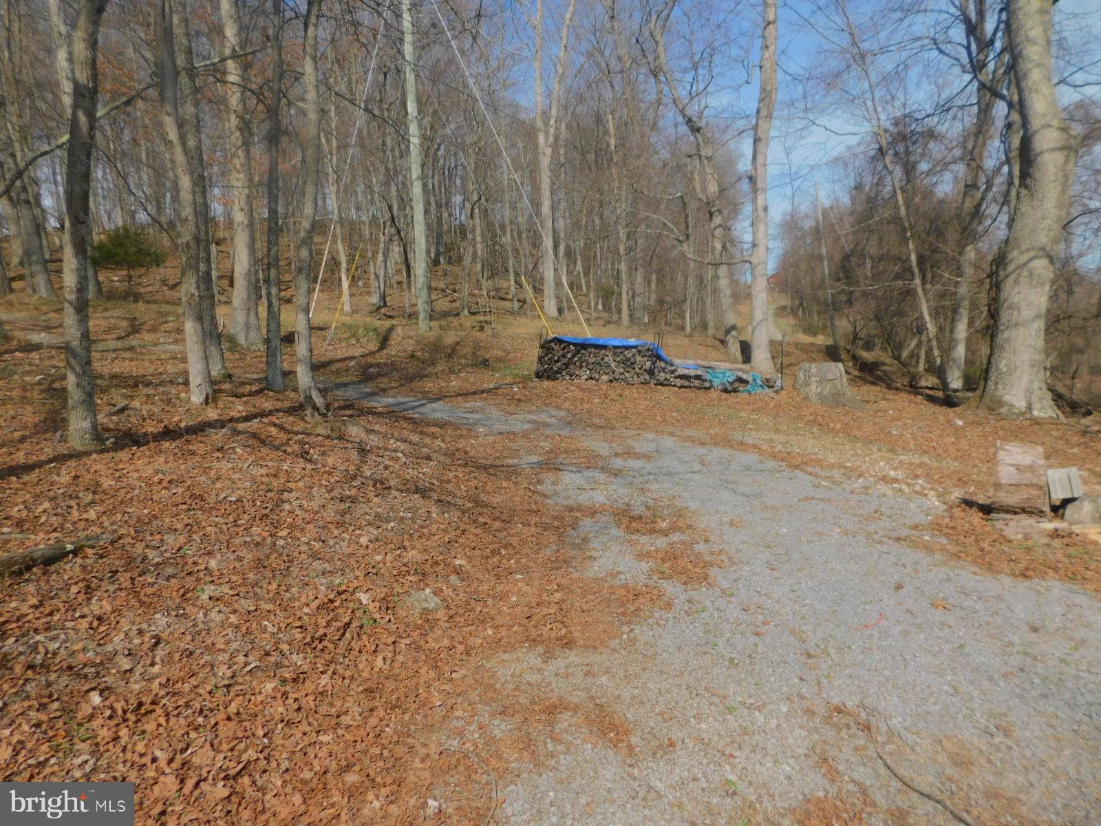 6751 High Knob Road Old Fields, WV 26845 - Photo 25 of 26 a view of a backyard with large trees