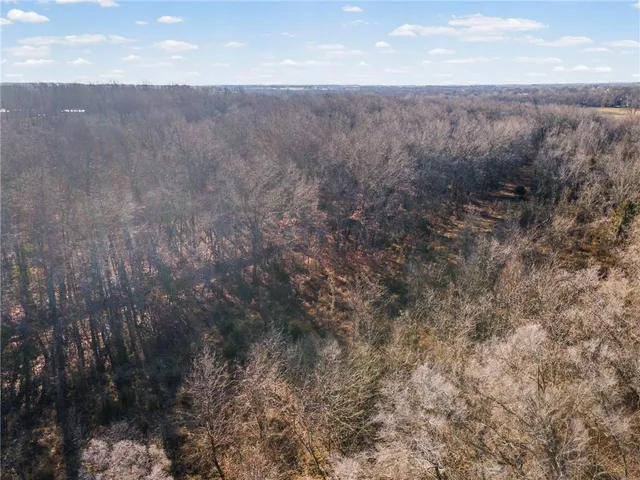 $120,000 | Nw Lot East Pine Street, Butler, MO 64730