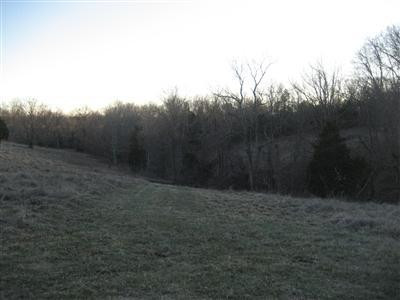 1234 Tracy Road Lawrenceburg, KY 40342 - Photo 19 of 22 Photo 19