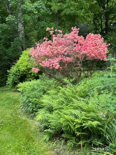 15 Old Mailcoach Road Redding, CT 06896 - Photo 31 of 36