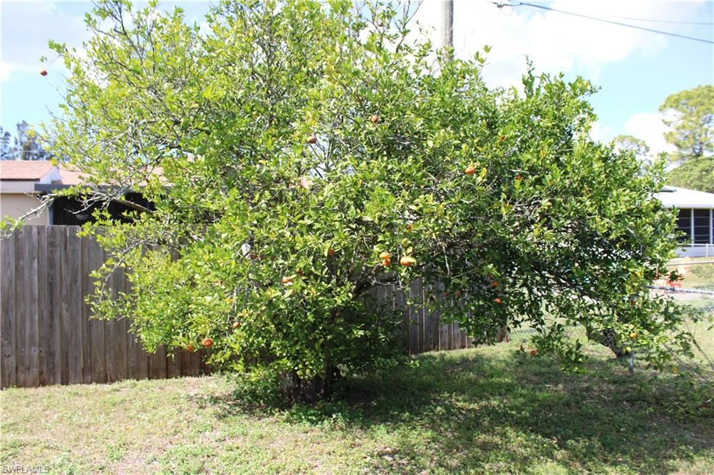 18584 Sebring Road Fort Myers, FL 33967 - Photo 25 of 25 View of yard with fruit tree