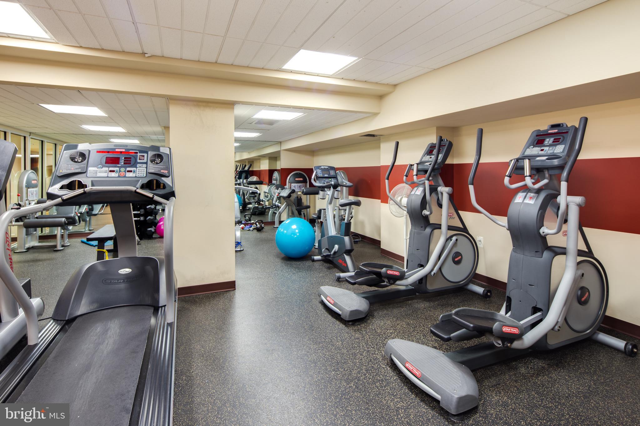 1613 Harvard Street Northwest, Unit 102 Washington, DC 20009 - Photo 15 of 18