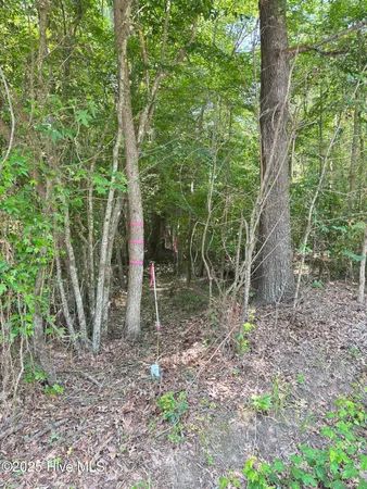 $25,000 | Lot 25 Buckhorn Church Road, Como, NC 27818