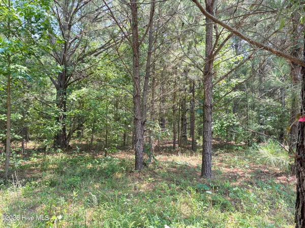 $25,000 | Lot 25 Buckhorn Church Road, Como, NC 27818