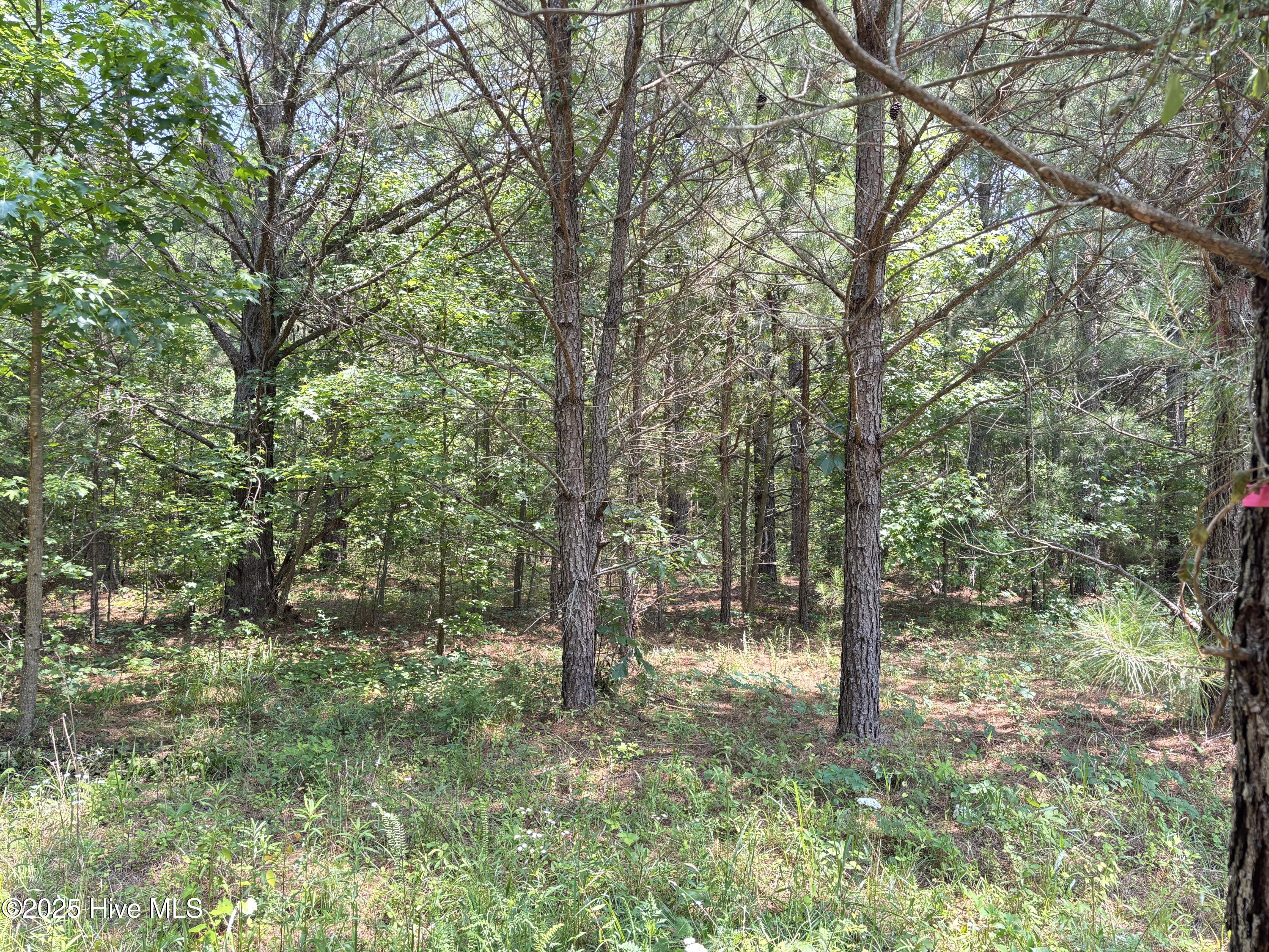 Lot 25 Buckhorn Church Road Como, NC 27818 - Photo 12 of 15 IMG_2788