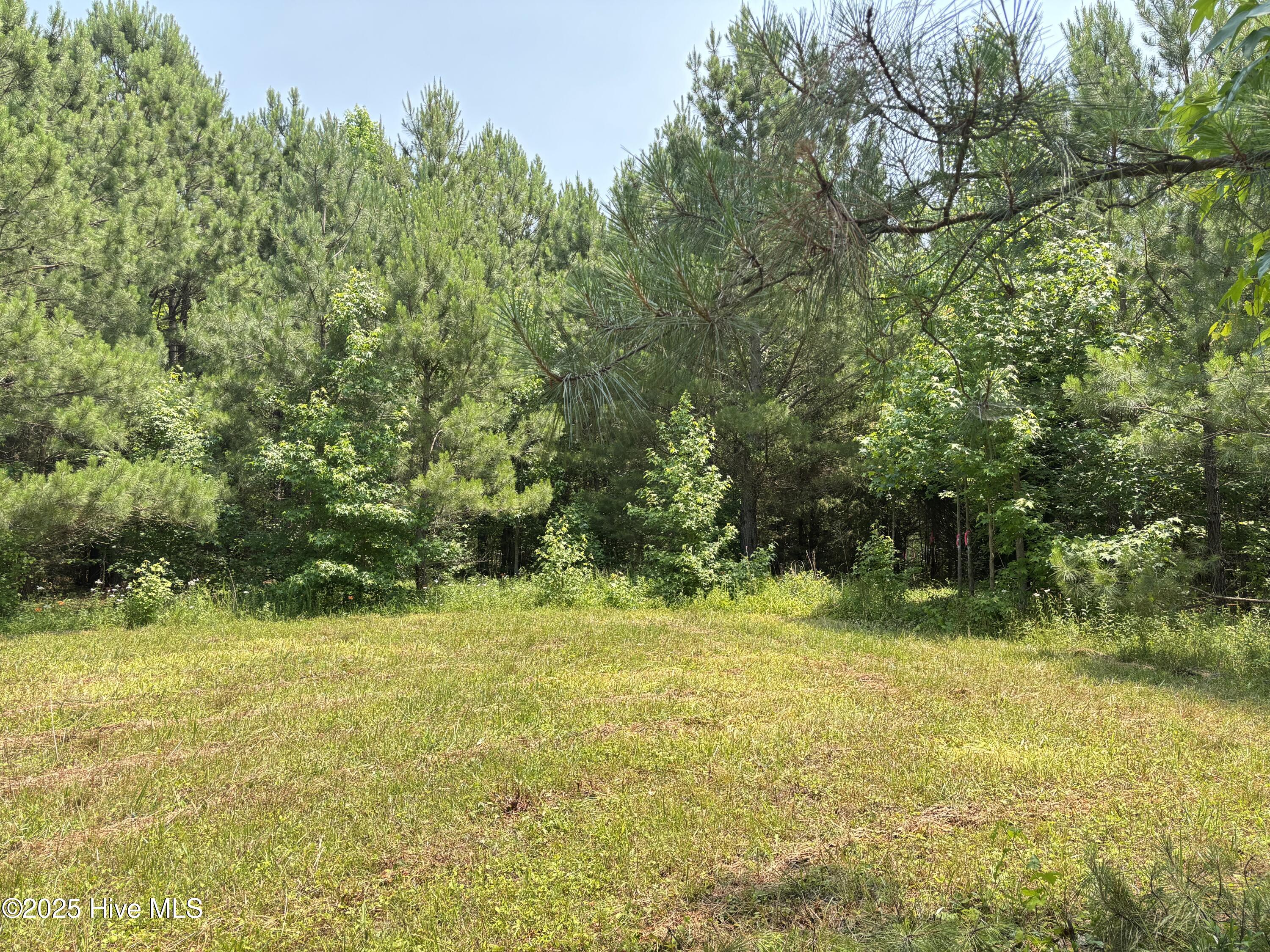 Lot 25 Buckhorn Church Road Como, NC 27818 - Photo 13 of 15 IMG_2792