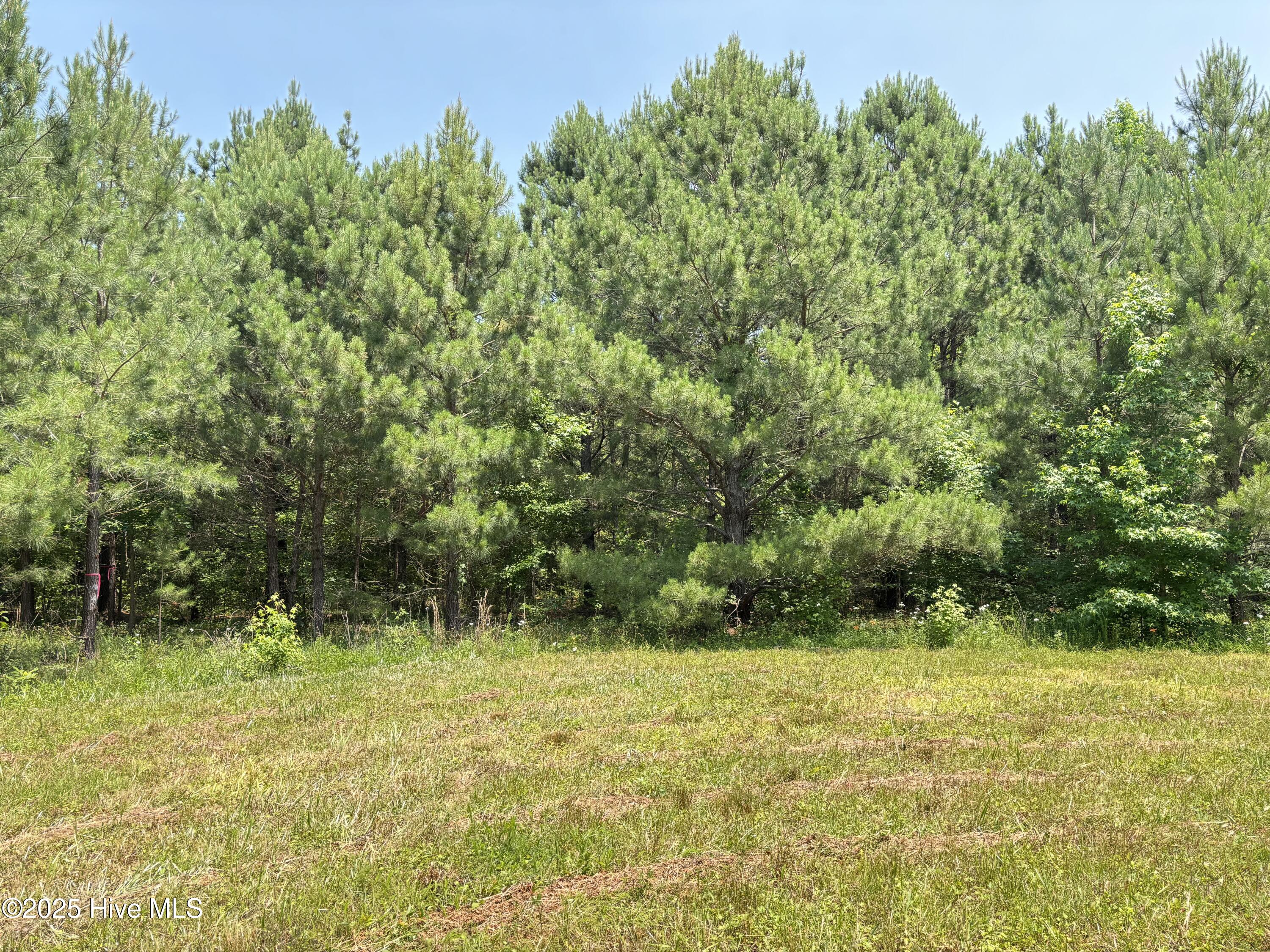 Lot 25 Buckhorn Church Road Como, NC 27818 - Photo 14 of 15 IMG_2793