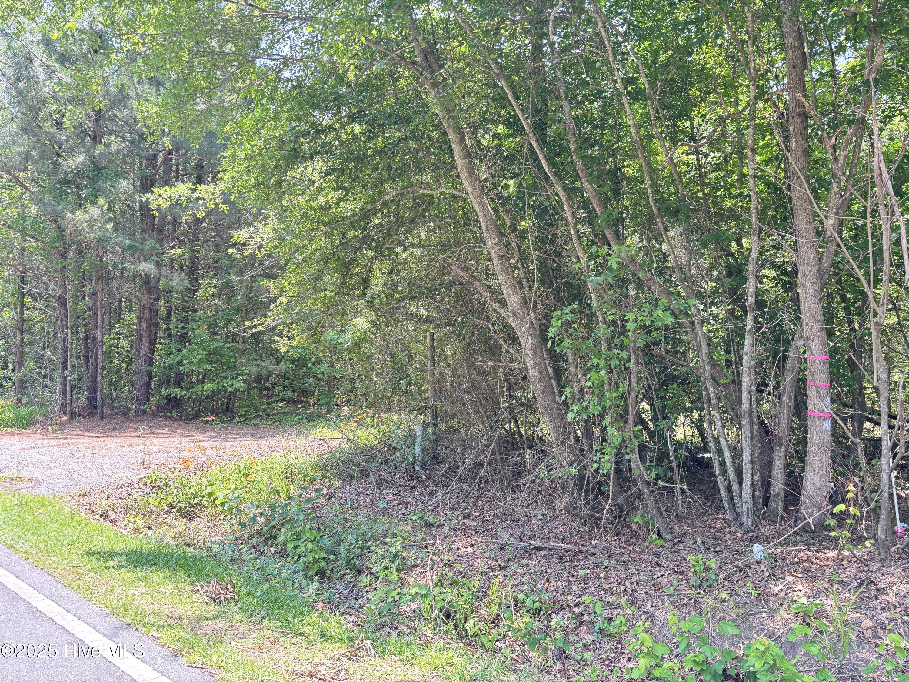 Lot 25 Buckhorn Church Road Como, NC 27818 - Photo 2 of 15 IMG_2777
