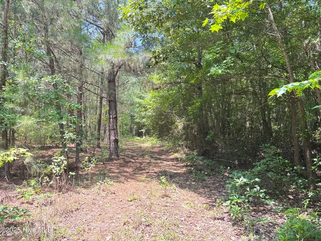 $25,000 | Lot 25 Buckhorn Church Road, Como, NC 27818