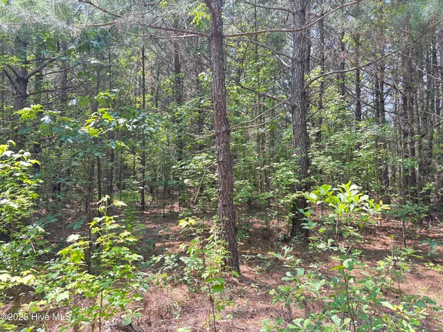 $25,000 | Lot 25 Buckhorn Church Road, Como, NC 27818