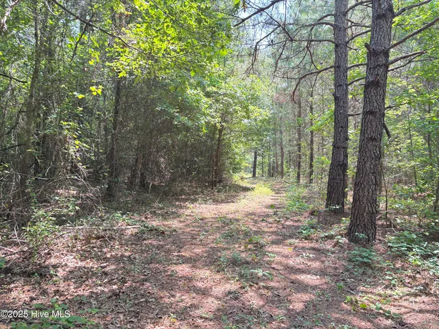 $25,000 | Lot 25 Buckhorn Church Road, Como, NC 27818