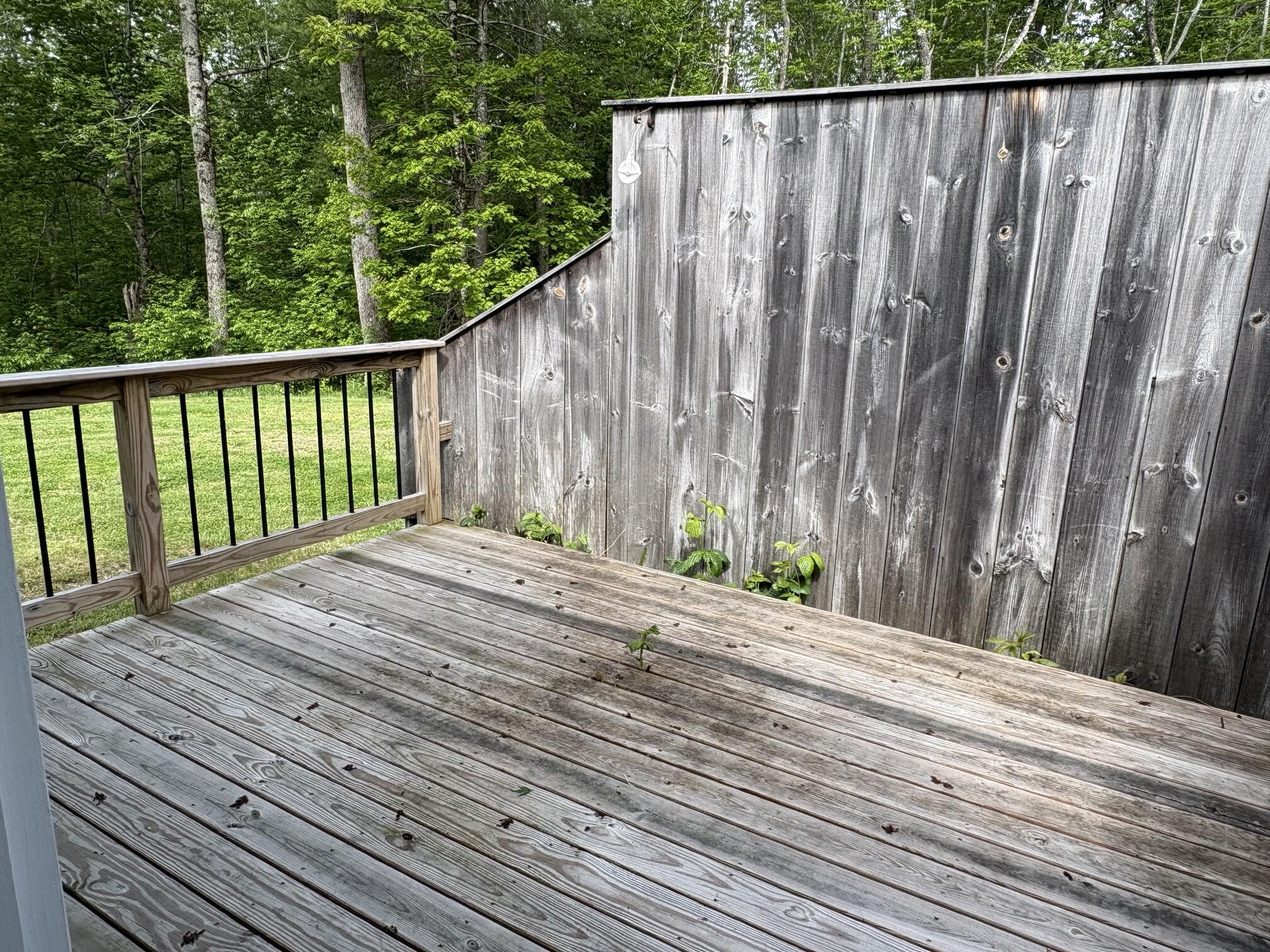 417 Searsmont Road Lincolnville, ME 04849 - Photo 26 of 44 IMG_7066