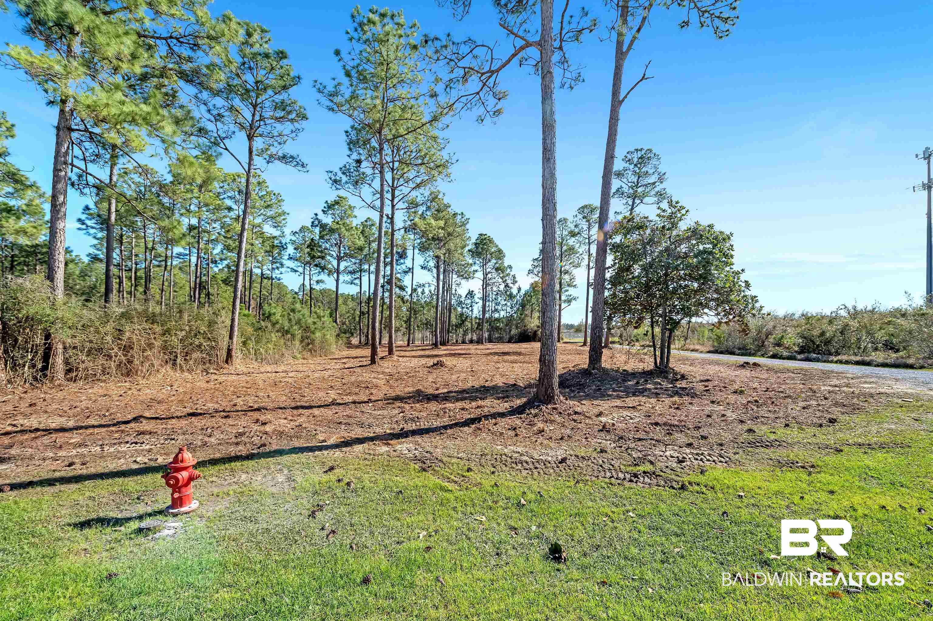 0 Canal Road Orange Beach, AL 36561 - Photo 5 of 25 View of yard