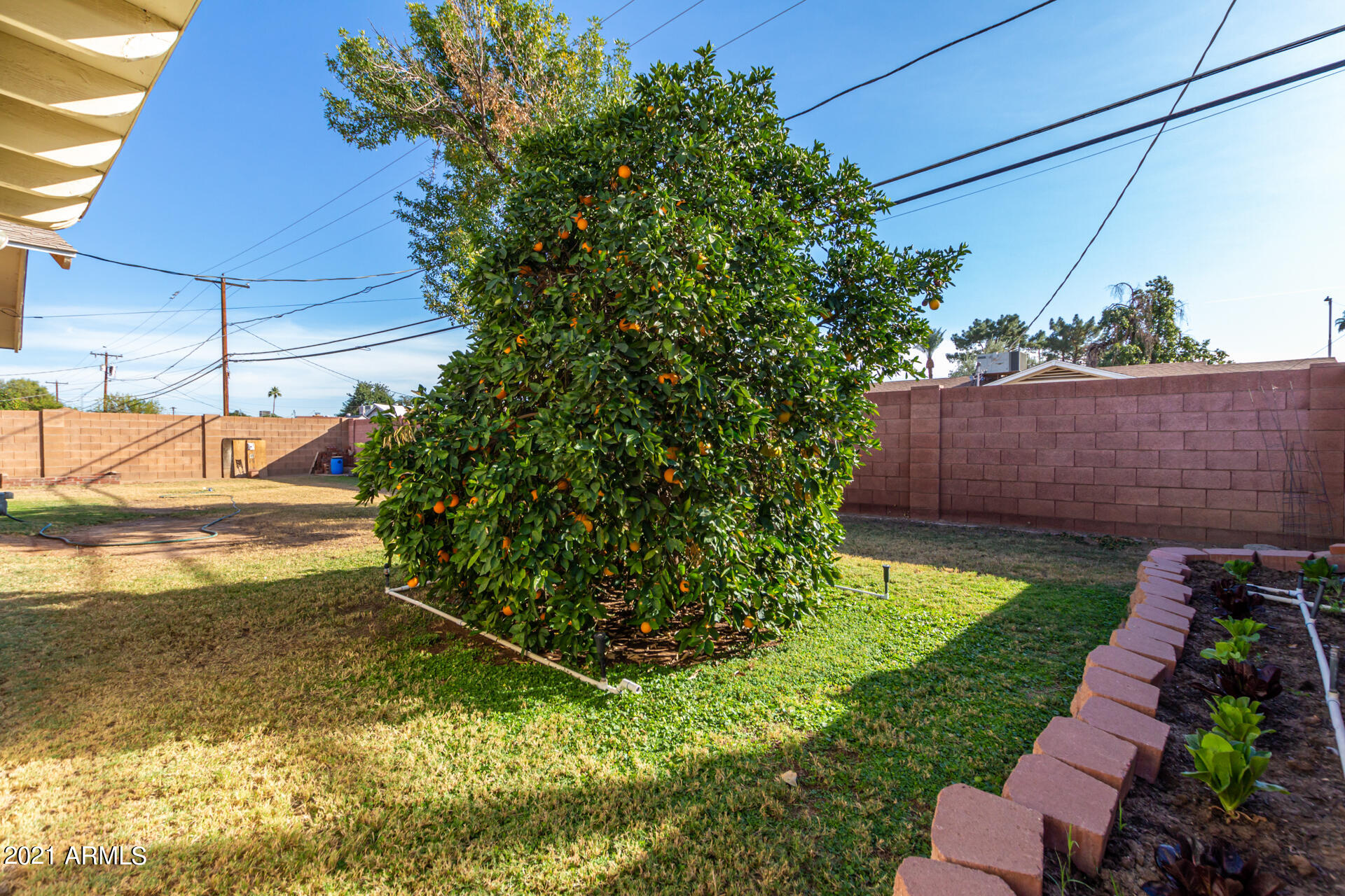 4135 West Ocotillo Road Phoenix, AZ 85019 - Photo 29 of 29 30 - Ocotillo