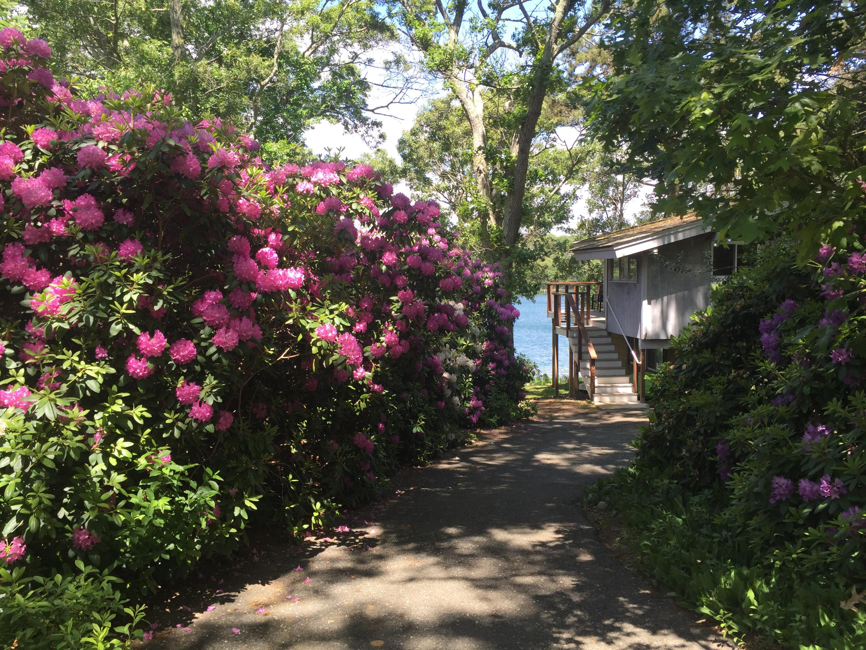 375 Barnes Road Oak Bluffs, MA 02557 - Photo 21 of 31 IMG_6983 (002)