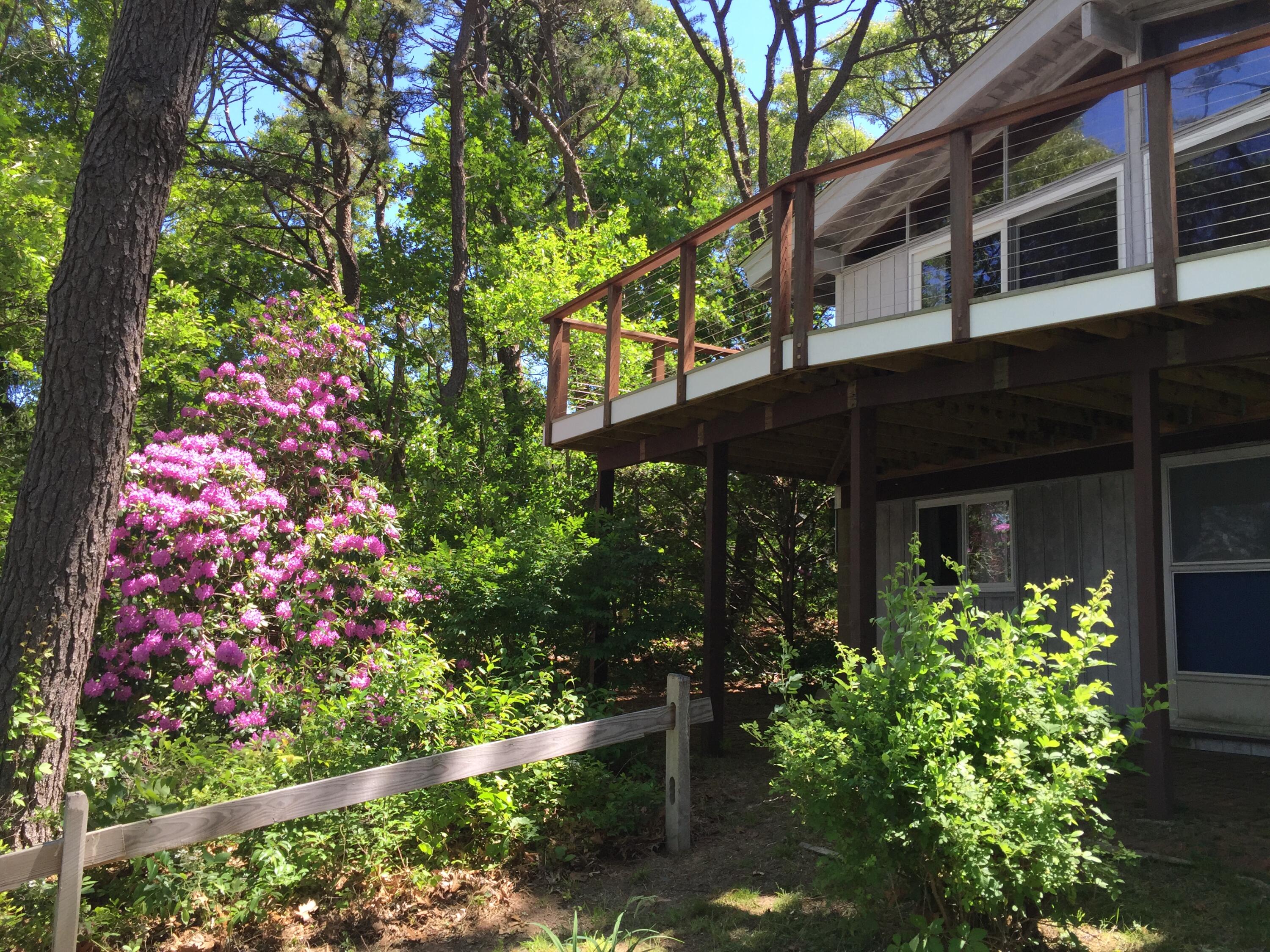 375 Barnes Road Oak Bluffs, MA 02557 - Photo 22 of 31 IMG_6971 (002)
