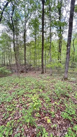 a close up of a sign