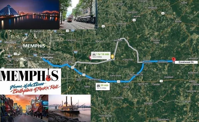 a view of a park with iron fence