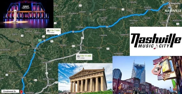 a view of a park with a tree and plants