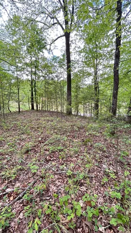 a street sign on a pole on a street