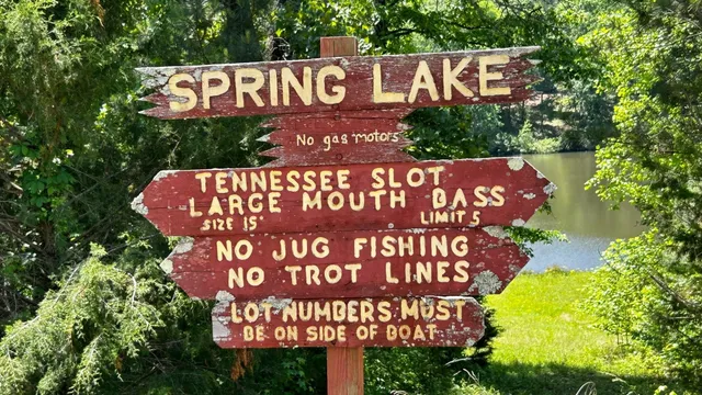 a view of outdoor space and trees