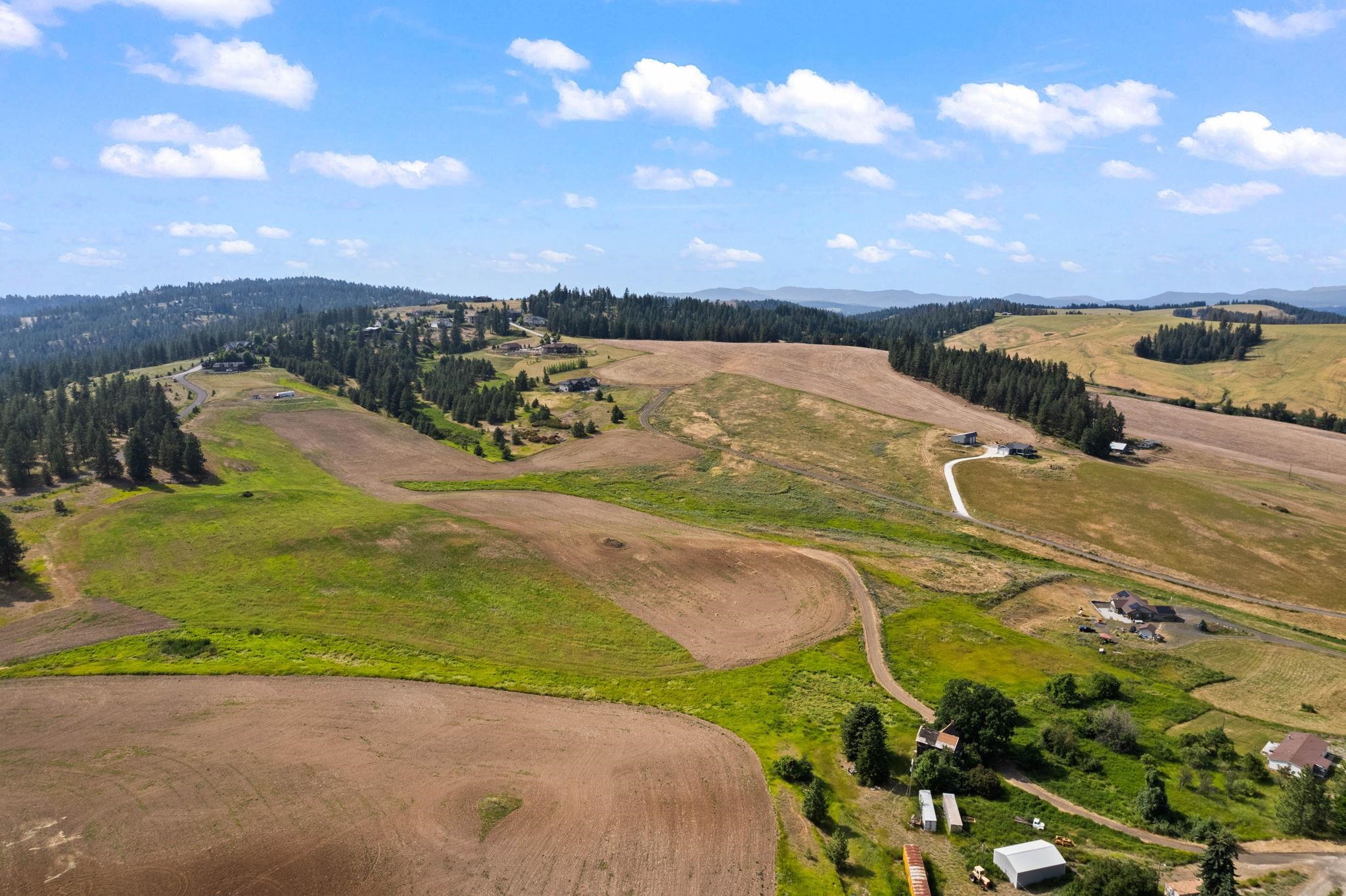 16209 North Dalton Road Spokane, WA 99208 - Photo 4 of 10