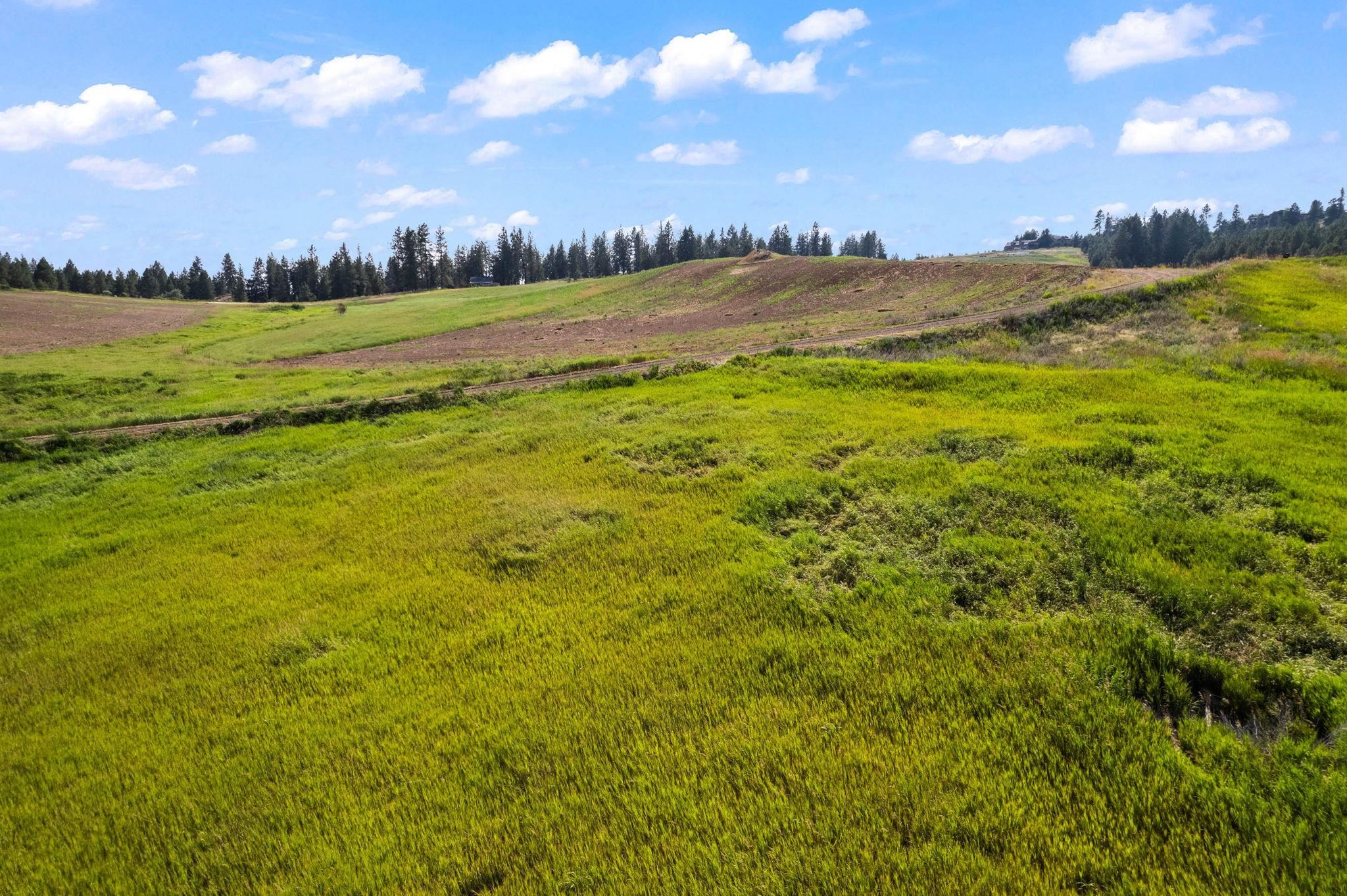 16209 North Dalton Road Spokane, WA 99208 - Photo 8 of 10