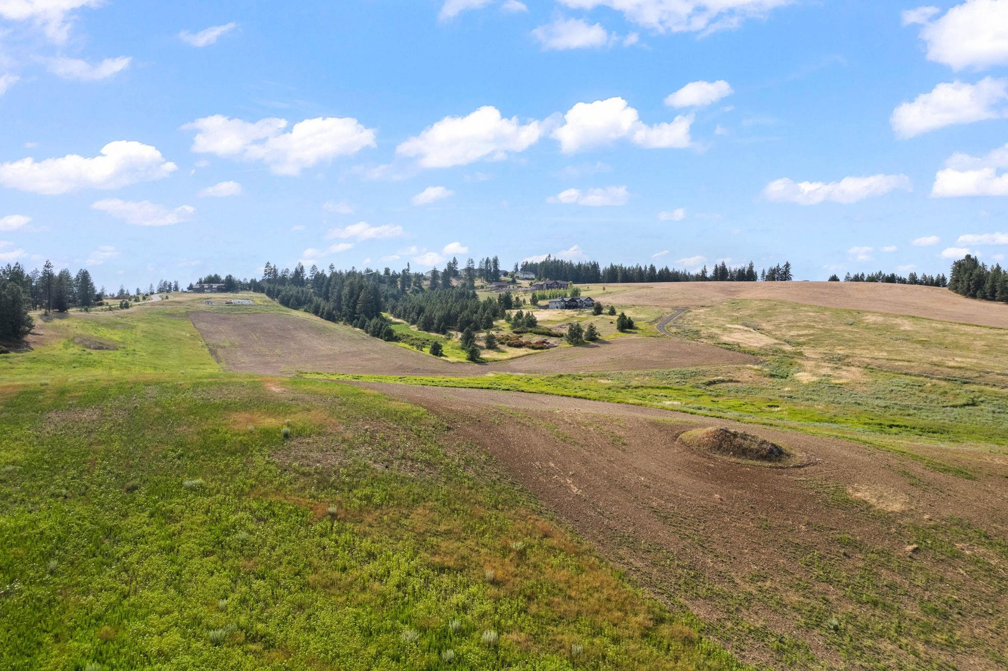 16209 North Dalton Road Spokane, WA 99208 - Photo 9 of 10